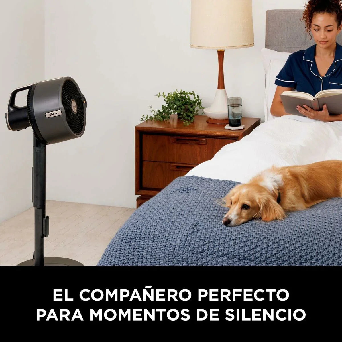Ventilatore a Piantana Shark FA300EU 36 W - Yestore