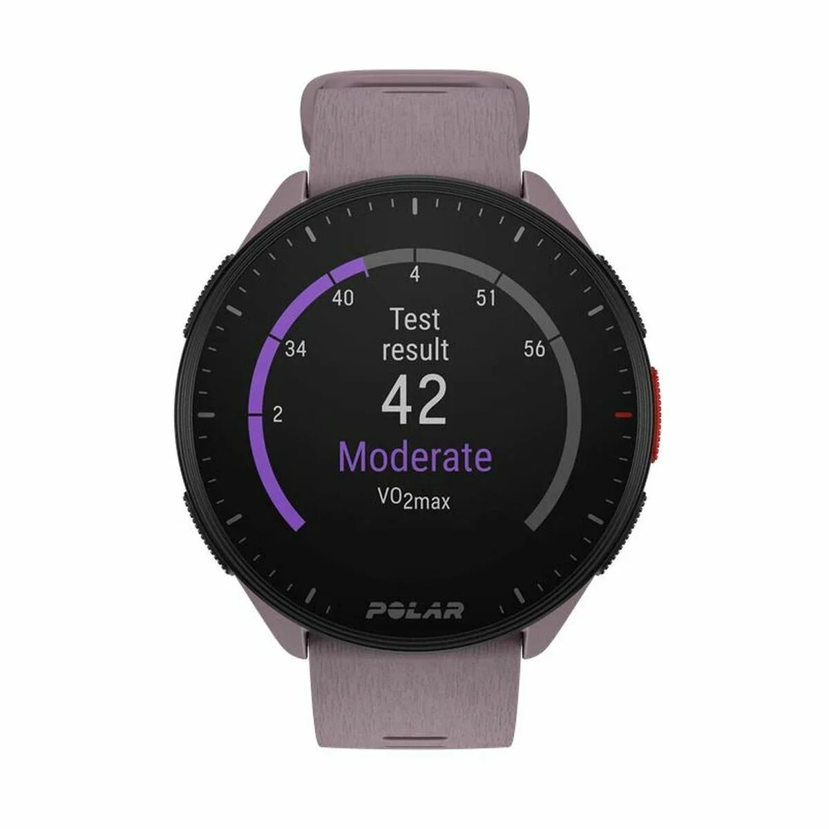 Smartwatch con Podometro Running Polar Viola 1,2" - Yestore