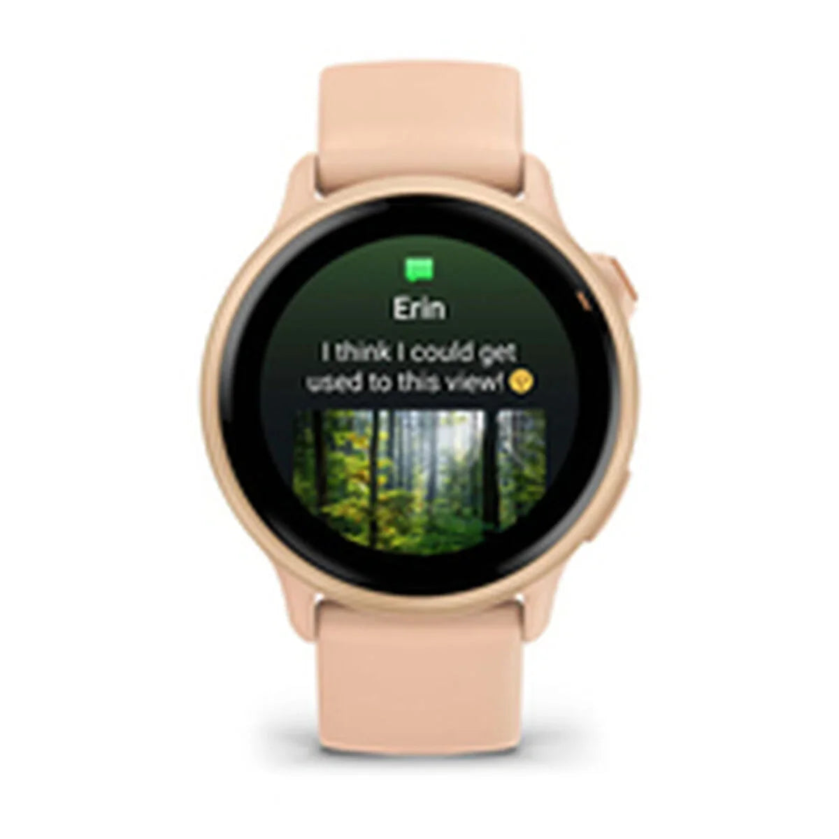 Smartwatch GARMIN 010-02985-03 - Yestore