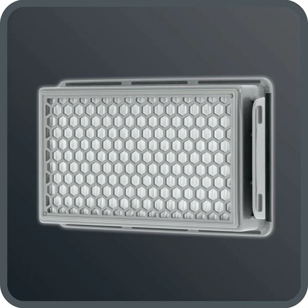 Aspirapolvere con Sacchetto Rowenta 900 W - Yestore