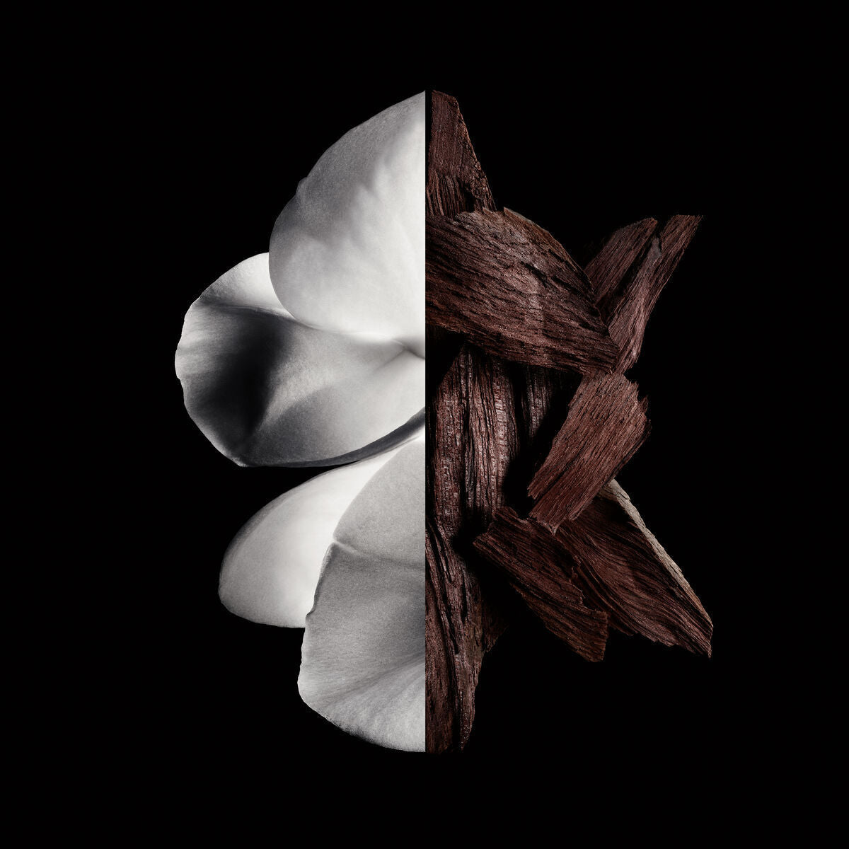 V2H8036B46691E7B98D4E2447E51C2860BAR6237557P2