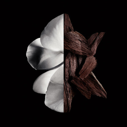 V2H8036B46691E7B98D4E2447E51C2860BAR6237557P2