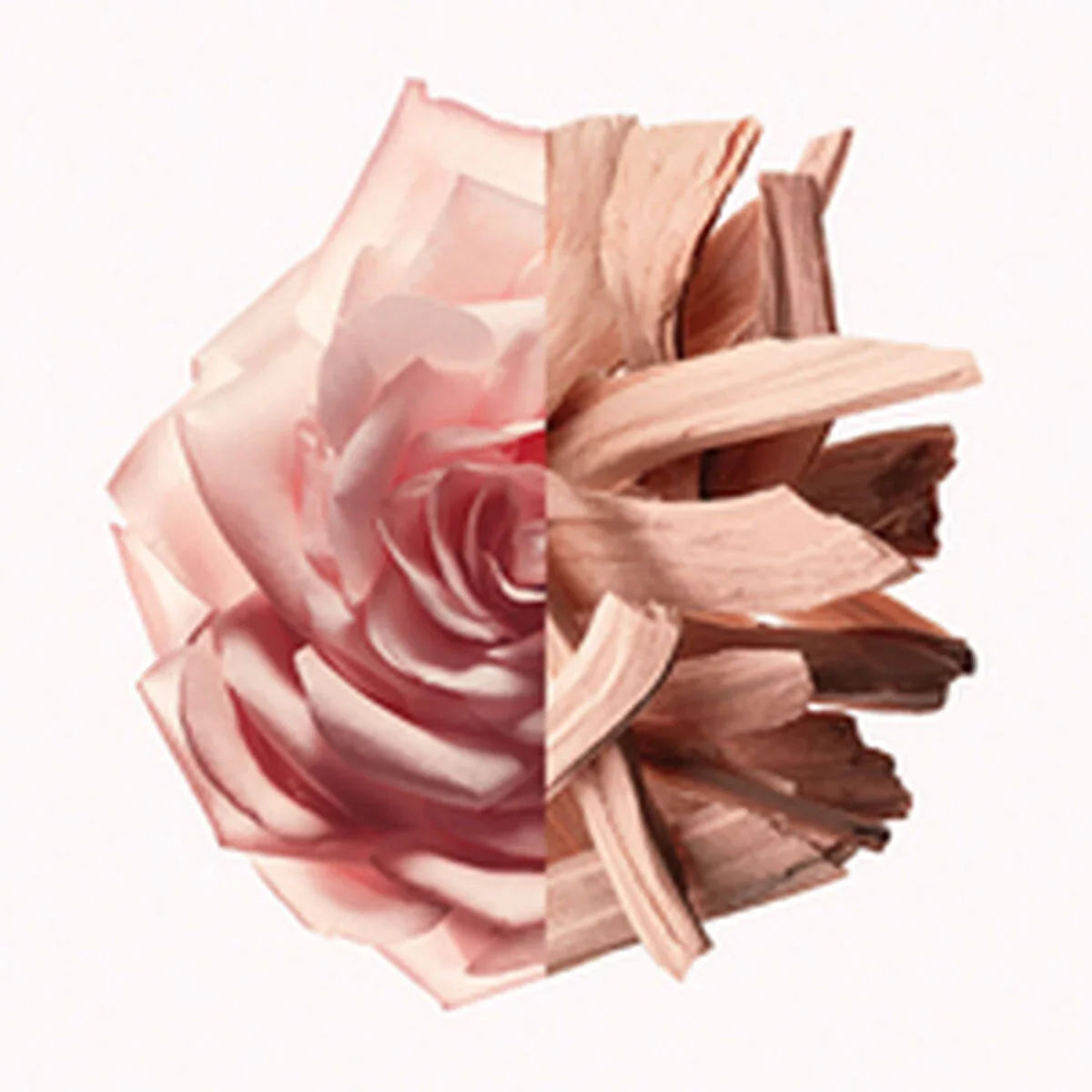 Profumo Donna Givenchy IRRESISTIBLE NUDE VELVET EDP 50 ml - Yestore