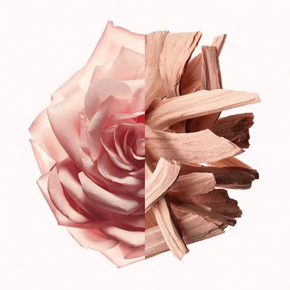 Profumo Donna Givenchy IRRESISTIBLE NUDE VELVET EDP 80 ml - Yestore