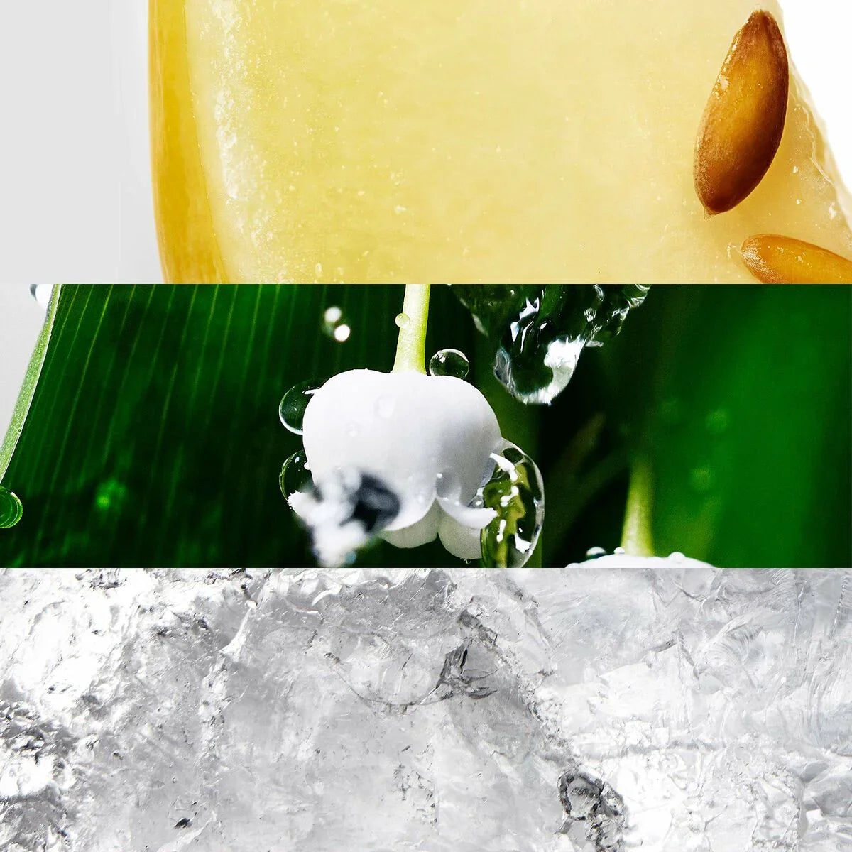 Profumo Donna Davidoff Cool Water Woman EDT 50 ml (1 Unità) - Yestore