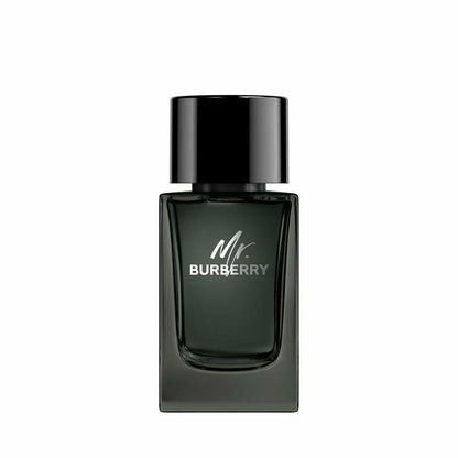 Profumo Uomo Burberry Mr. Burberry 100 ml - Yestore