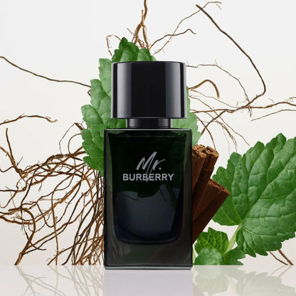Profumo Uomo Burberry Mr. Burberry 100 ml - Yestore