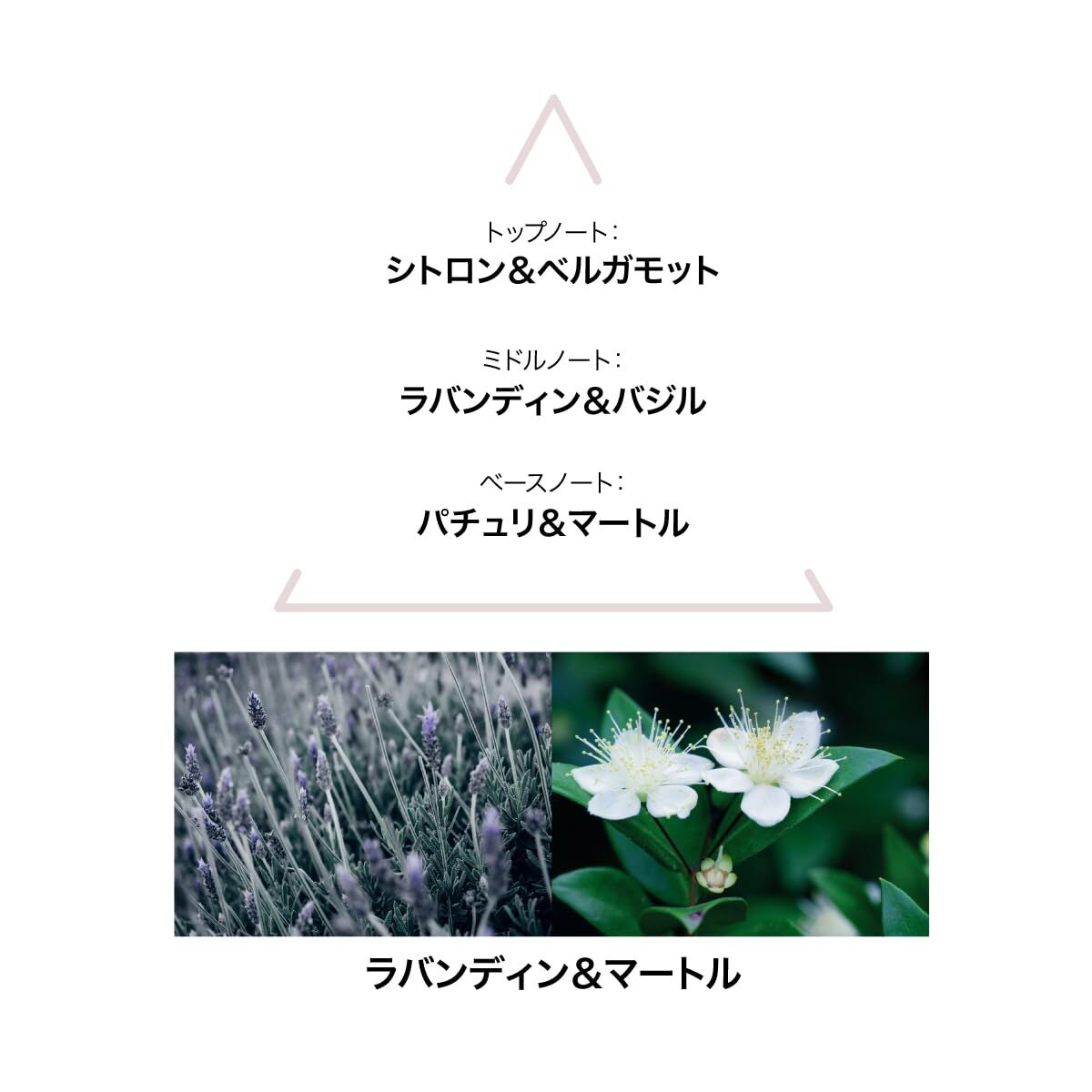 V1H31921DA2C778EEE53B7E5D2A7383879ARP3