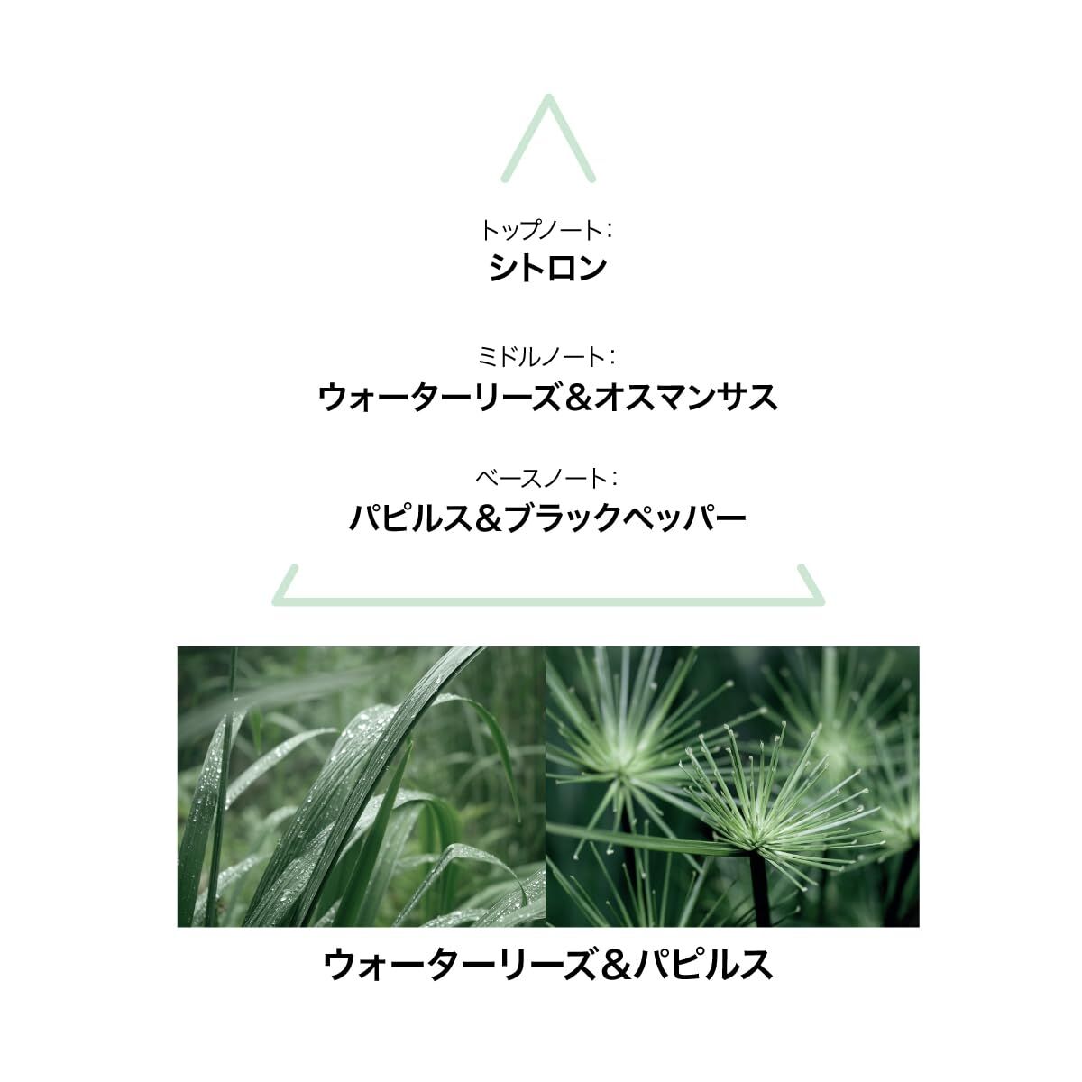 V1H099F4B6823C8BC05F8DDEAF39D1C319DRP3
