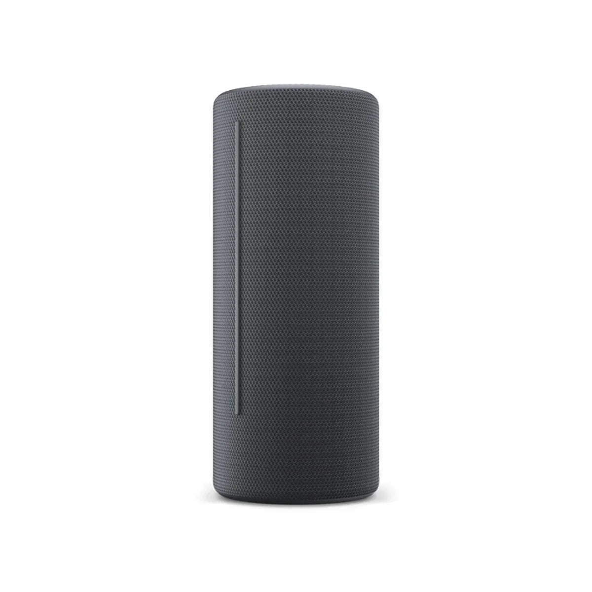 Altoparlante Bluetooth Loewe Grigio - Yestore