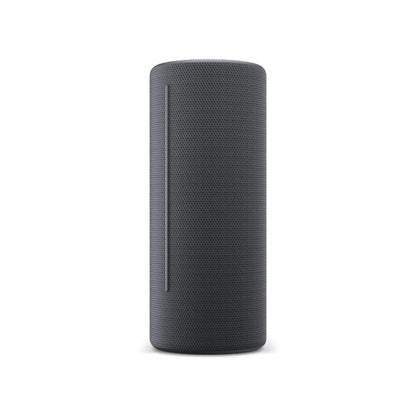 Altoparlante Bluetooth Loewe Grigio - Yestore