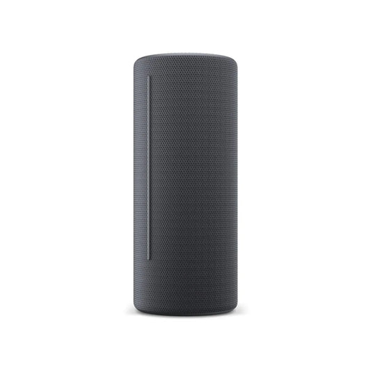 Altoparlante Bluetooth Loewe Grigio - Yestore