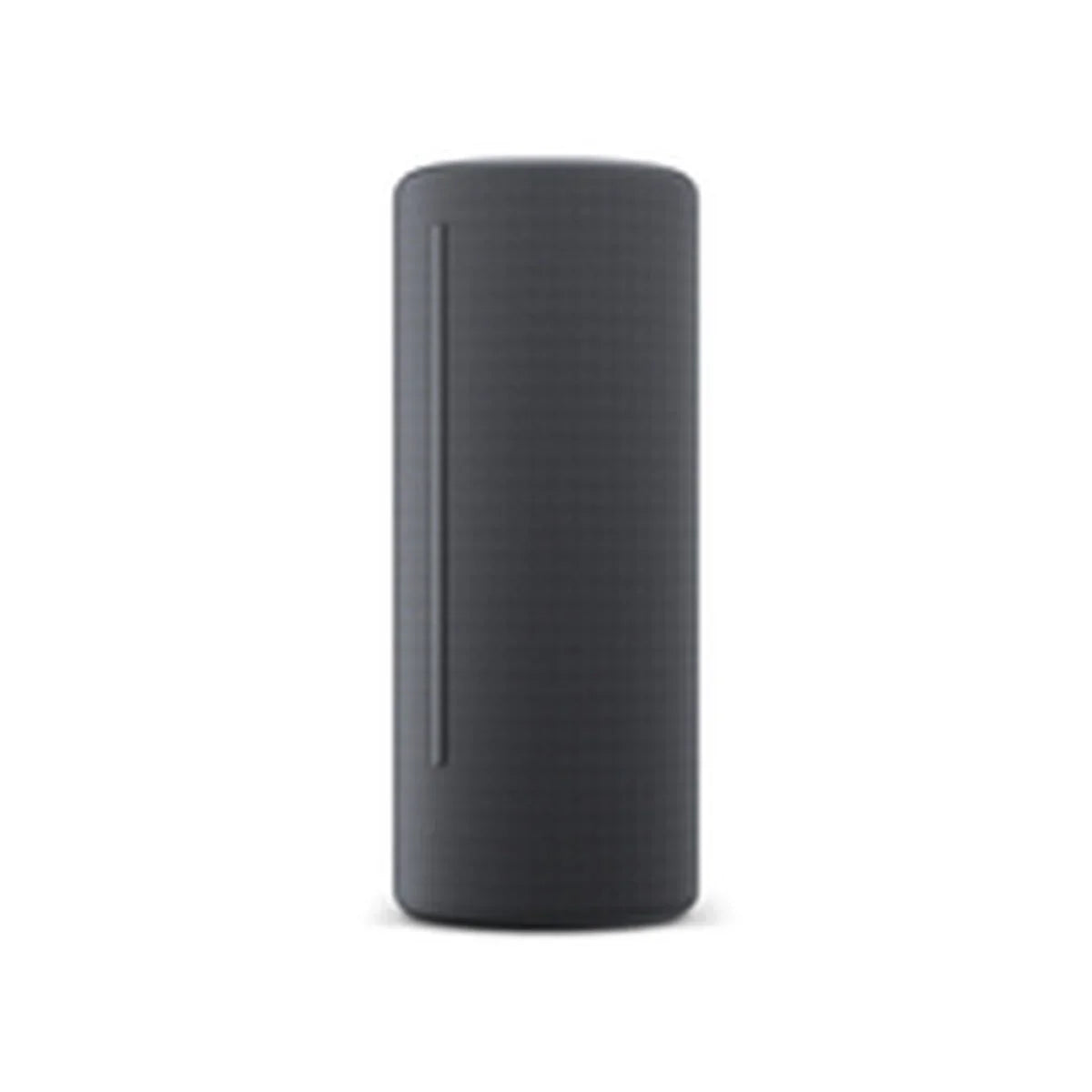 Altoparlante Bluetooth Loewe Grigio - Yestore