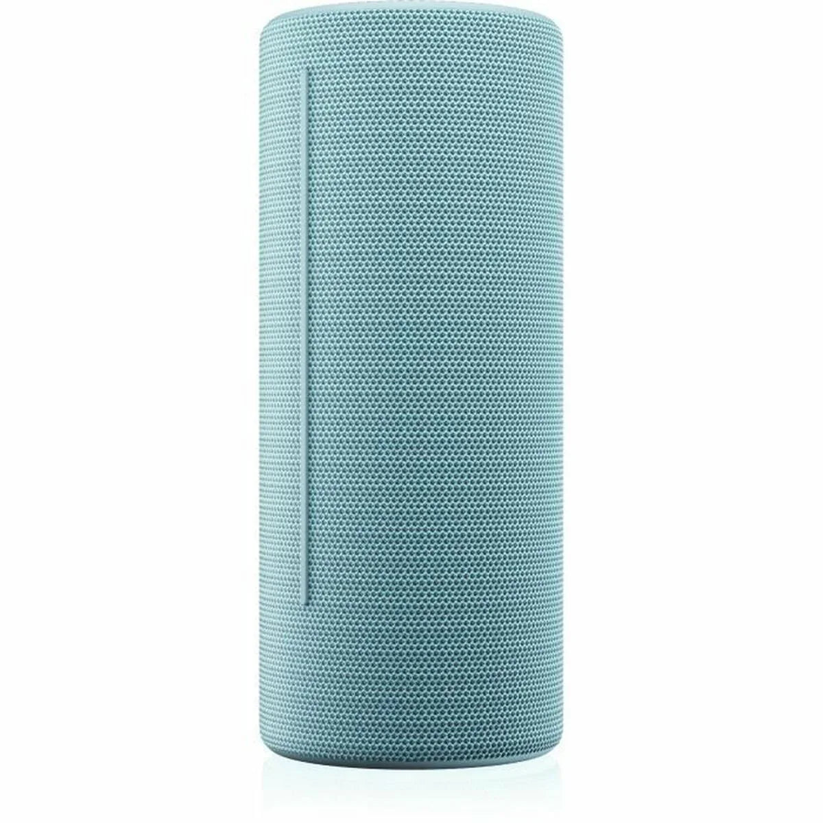 Altoparlante Portatile Loewe Azzurro 15 W 60 W - Yestore
