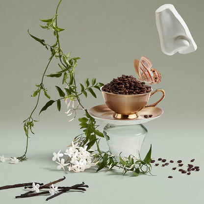 V1H353EB078A82A00D0A07C1616798ECD52RP5