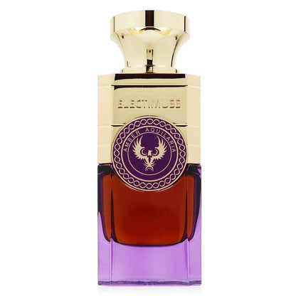 Unisex Perfume Electimuss Amber Aquilaria 100 ml - Yestore