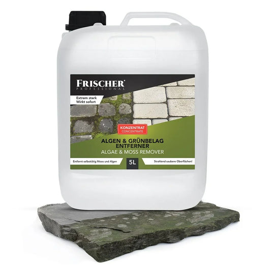 Aspirapolvere per Finestre Frischer FR00241_5000 - Yestore