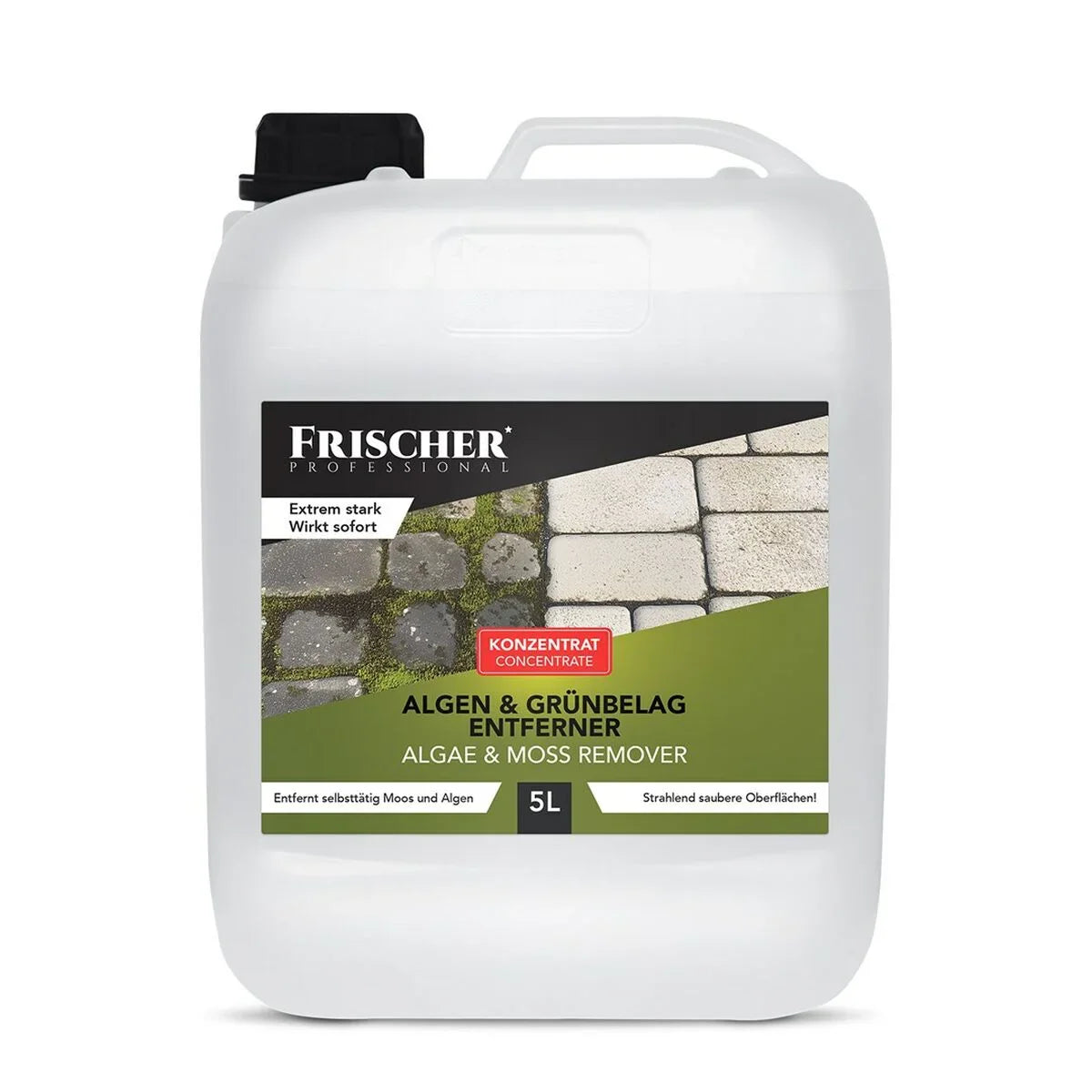 Aspirapolvere per Finestre Frischer FR00241_5000 - Yestore