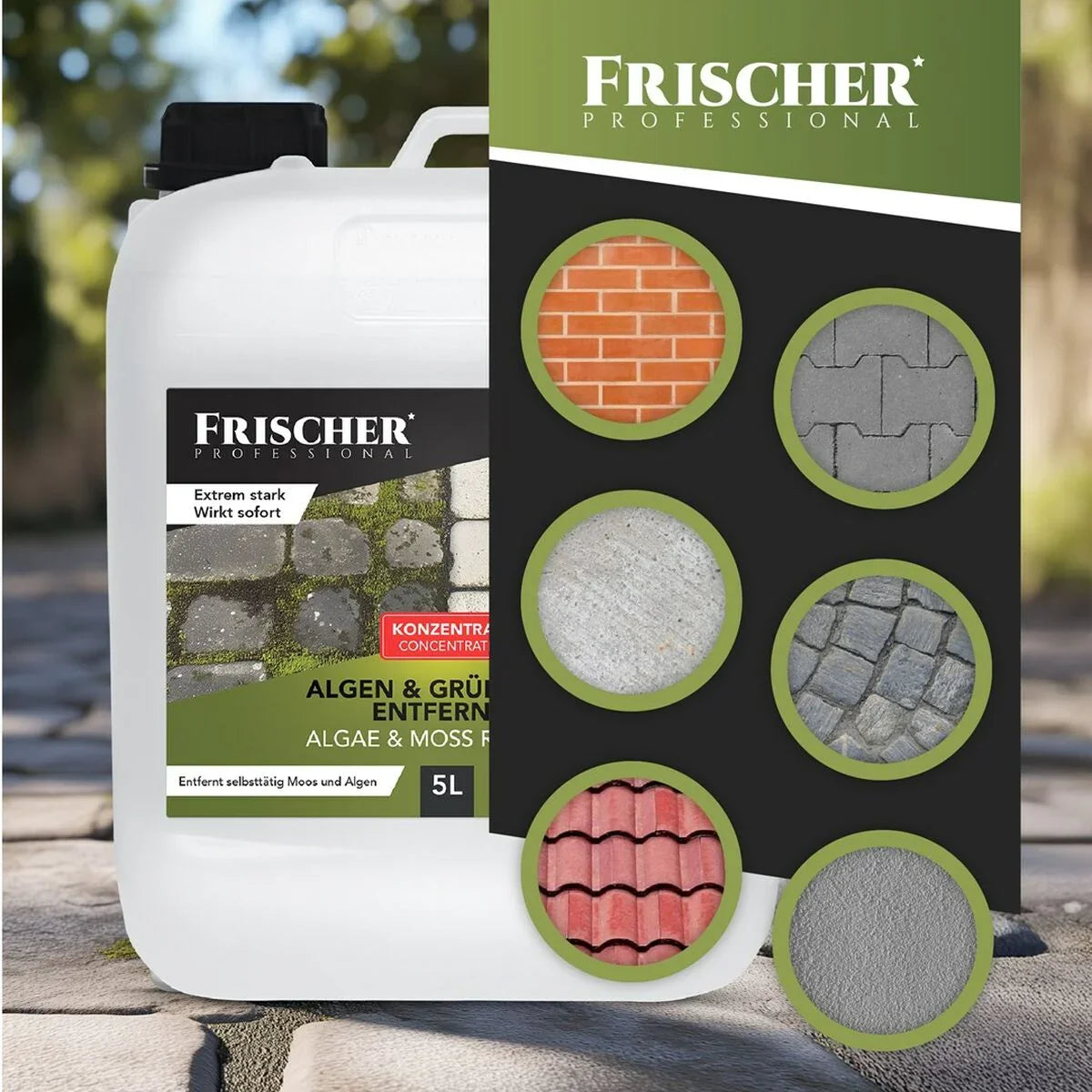 Aspirapolvere per Finestre Frischer FR00241_5000 - Yestore
