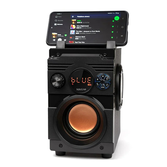 Altoparlante Bluetooth Portatile SQUEAK SQ1001 Nero 20 W - Yestore