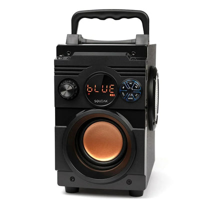 Altoparlante Bluetooth Portatile SQUEAK SQ1001 Nero 20 W - Yestore