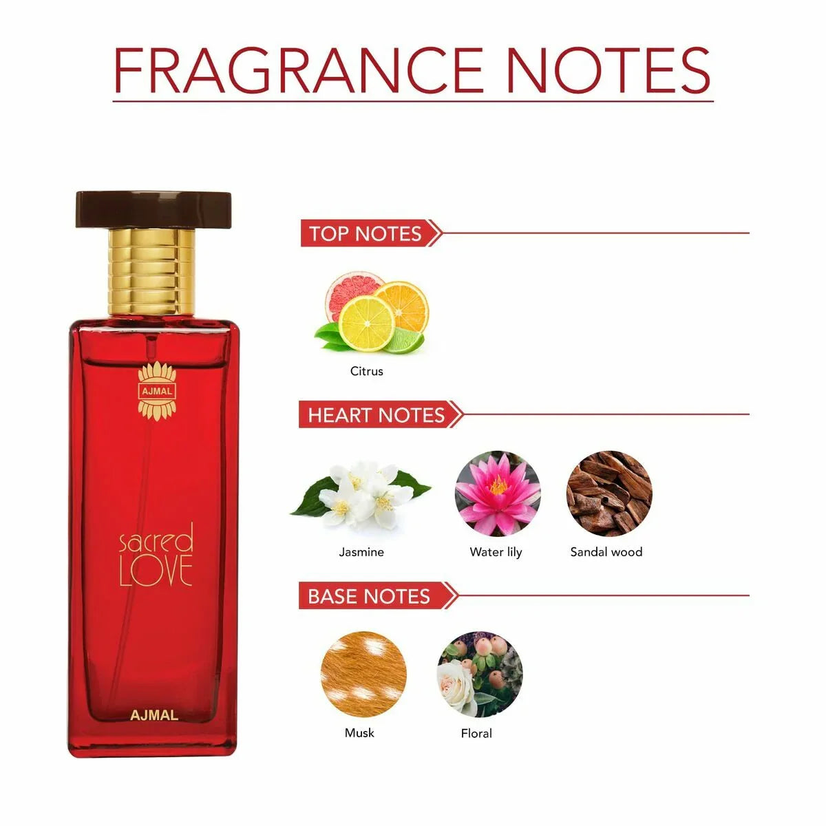 Women's Perfume Ajmal EDP - Yestore