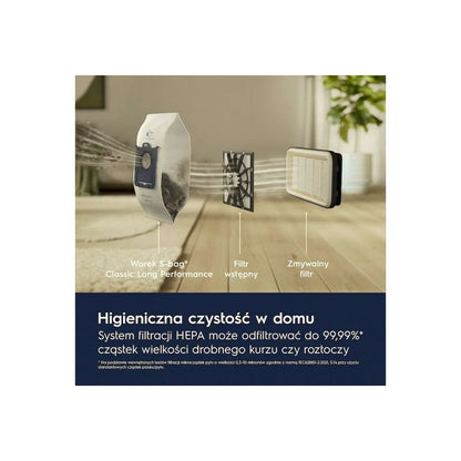 Aspirapolvere con Sacchetto Electrolux EB31C1DB Rosso Granato 750 W - Yestore