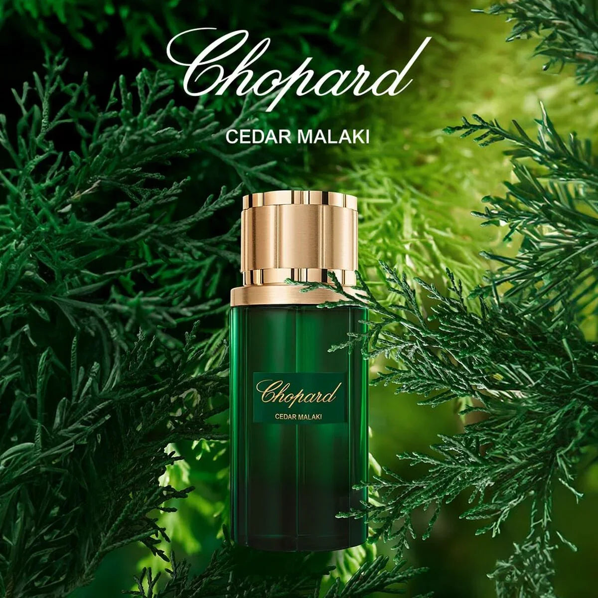 Profumo Donna Chopard EDP - Yestore