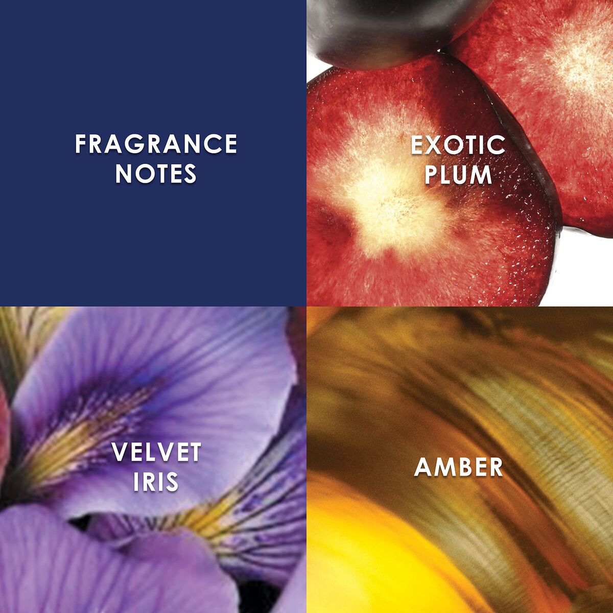 V1HABE73D8825EAE6BB0CC8B8555FD591A2RP4