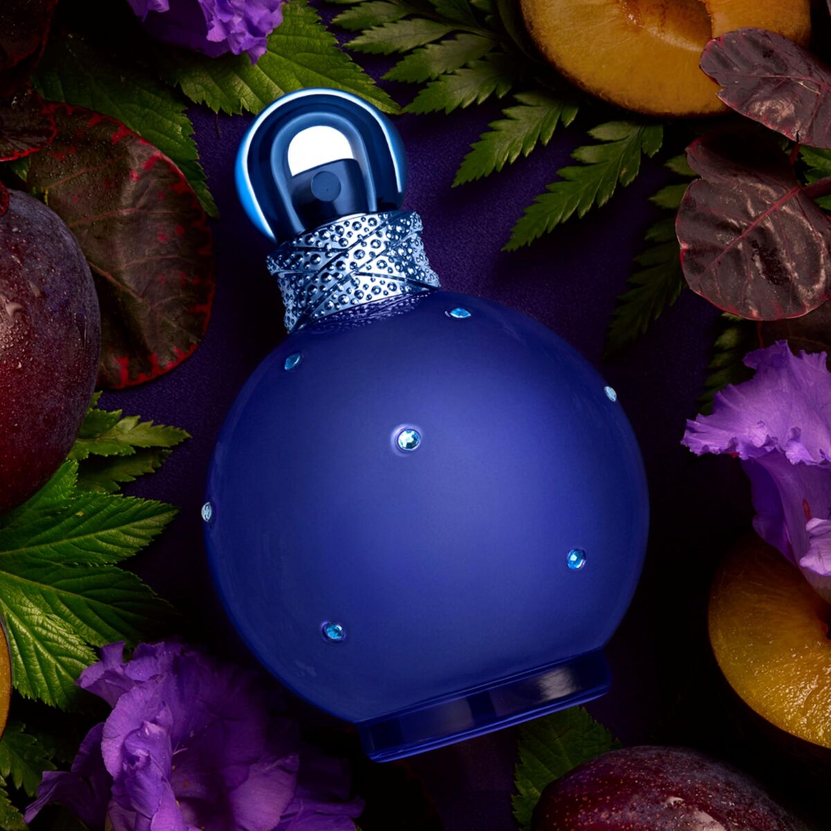 V1H2E5014CF3379E42E7D67A4B581151A35RP9