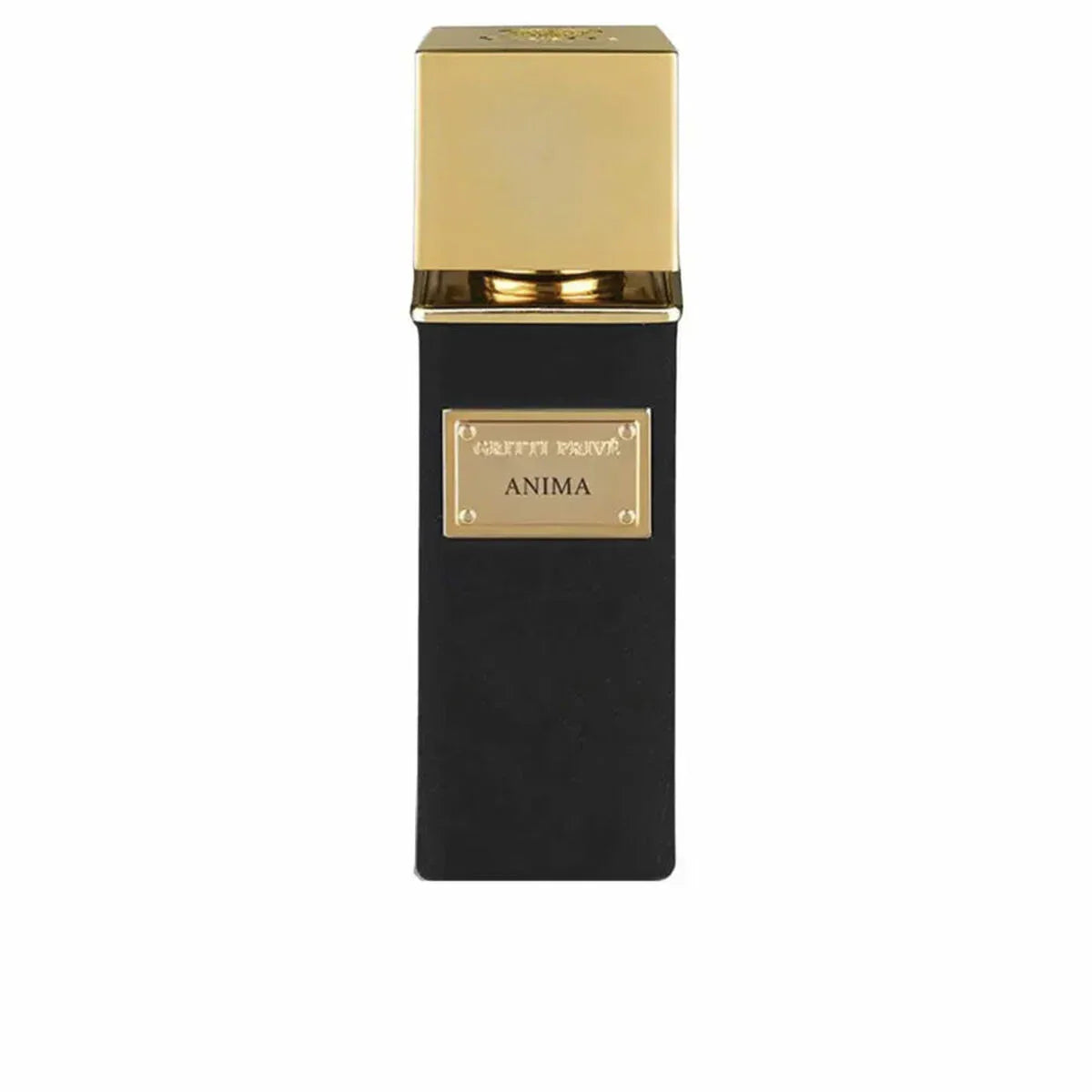Profumo Uomo Gritti ANIMA EXTRAIT DE PARFUM EDP 100 ml - Yestore