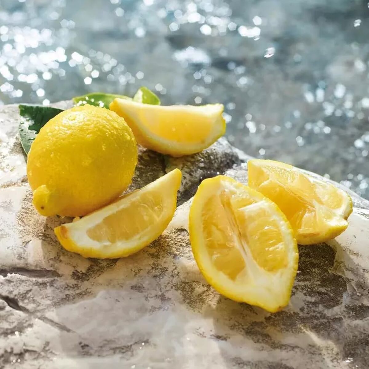 V2HF9D5A7B10C951B5BFEDF271F3F990FB8R7528042P8