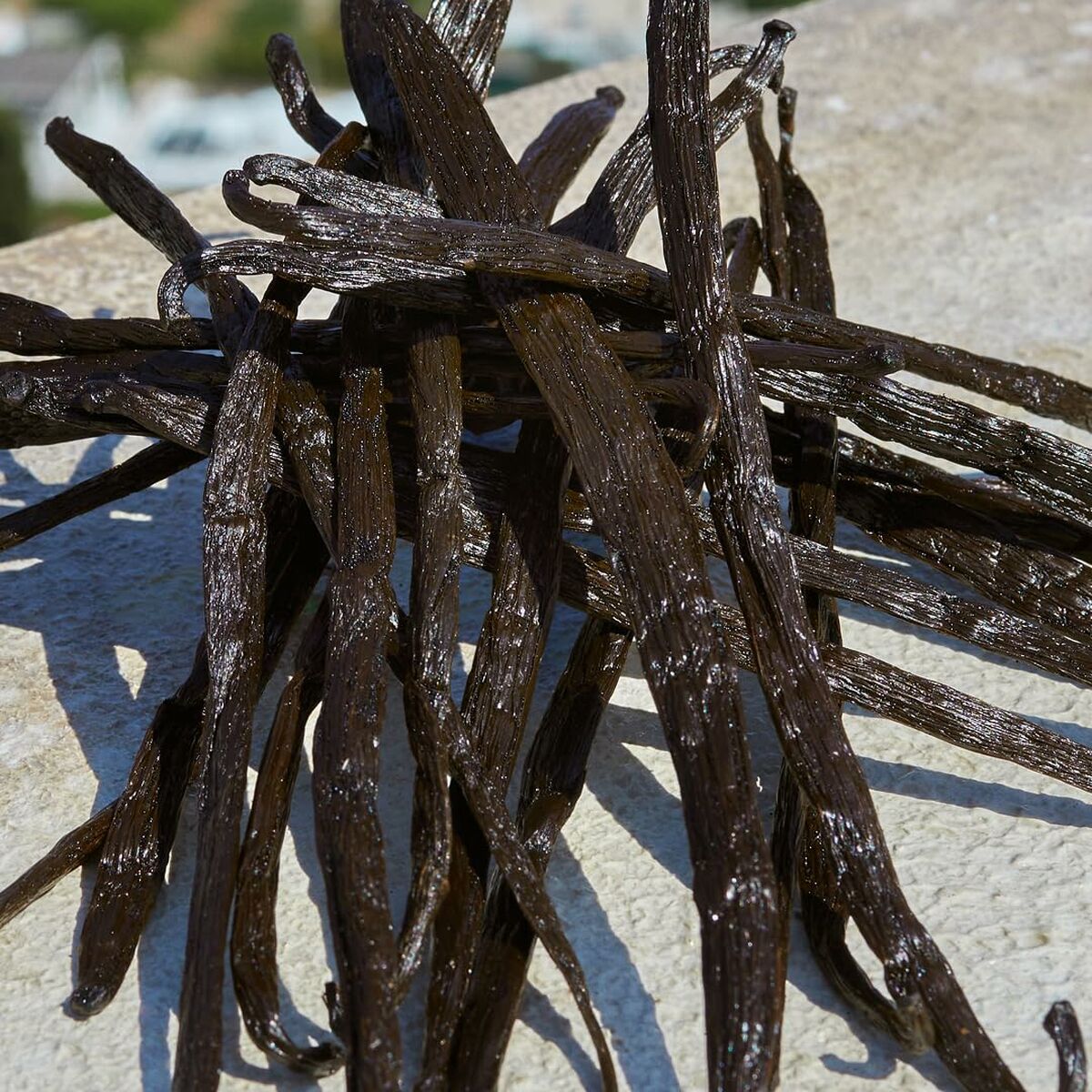 V1H5DA712516EEA2FC6AC0BC1006CE7CF62RP5