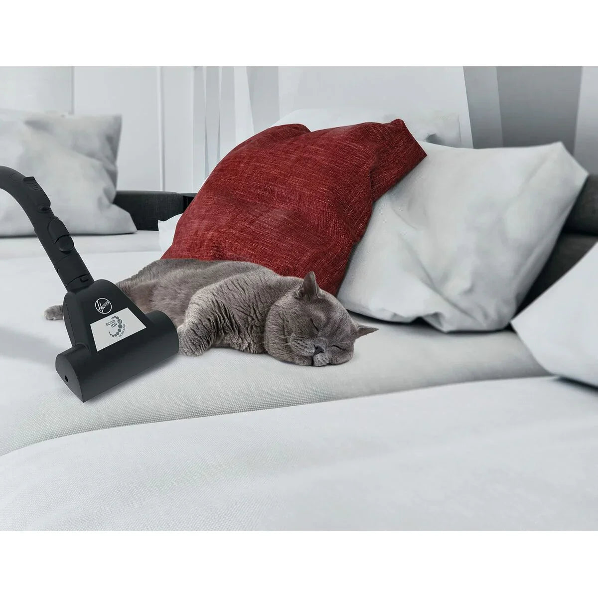 Aspirapolvere Hoover Verde 850 W - Yestore
