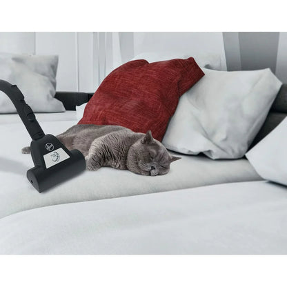 Aspirapolvere Hoover Verde 850 W - Yestore