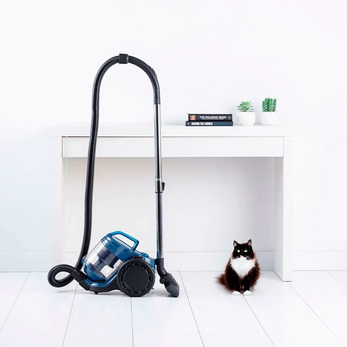 Aspirapolvere Taurus HOMELAND CYC AN Nero 800 W - Yestore
