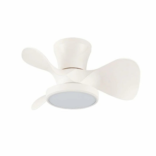 Ventilatore da Soffitto CristalRecord MOLL RETRAC Trasparente 20 W - Yestore
