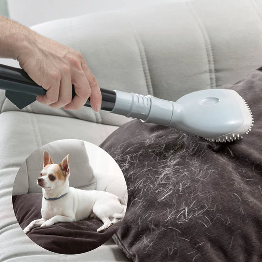 Spazzola per Aspirapolvere Smoovah InnovaGoods - Yestore