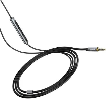 Auricolari con Microfono iggual